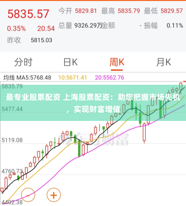 最专业股票配资 上海股票配资：助您把握市场先机，实现财富增值
