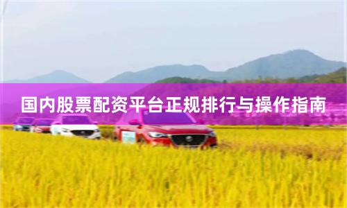 国内股票配资平台正规排行与操作指南