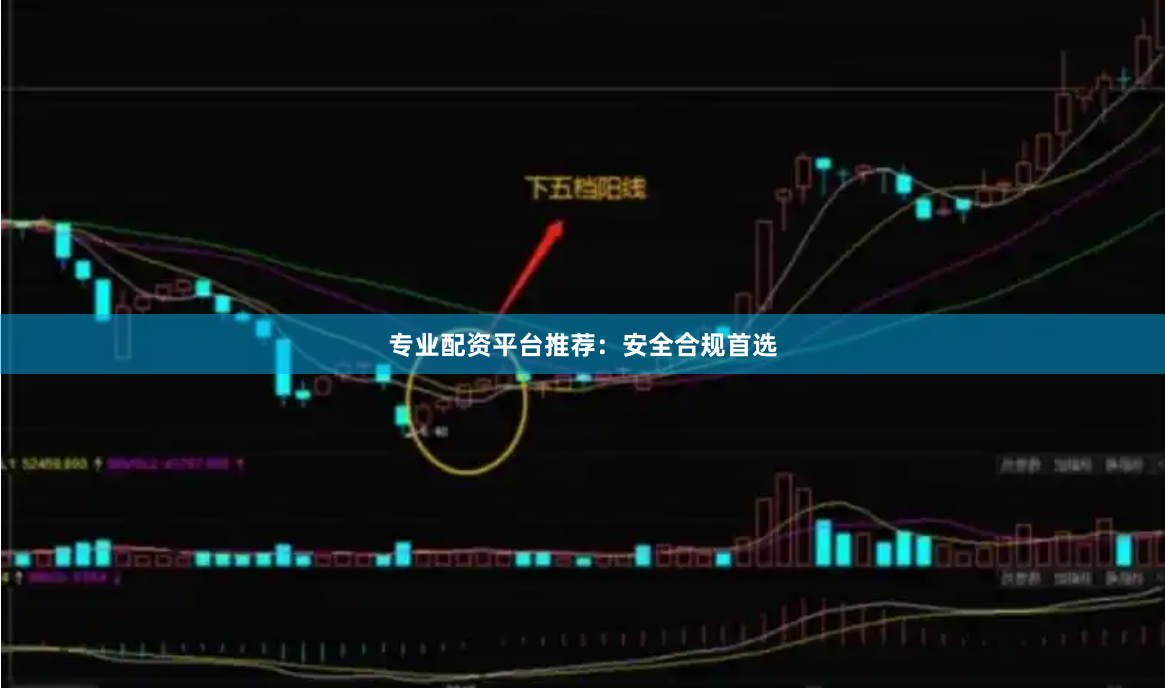 专业配资平台推荐：安全合规首选
