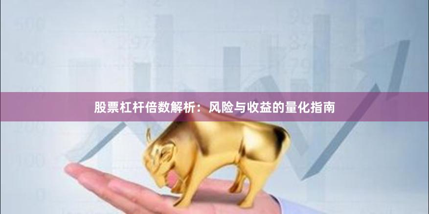 股票杠杆倍数解析：风险与收益的量化指南