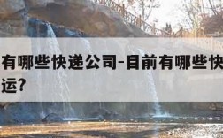 目前都有哪些快递公司-目前有哪些快递公司支持空运?