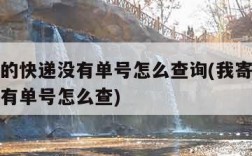 我寄出的快递没有单号怎么查询(我寄出去的快递没有单号怎么查)