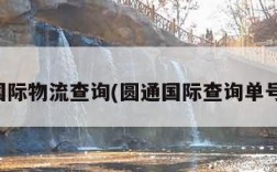 圆通国际物流查询(圆通国际查询单号查询)