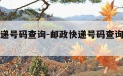 邮政快递号码查询-邮政快递号码查询物流信息