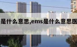 ems是什么意思,ems是什么意思医学名称