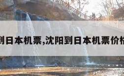 沈阳到日本机票,沈阳到日本机票价格查询