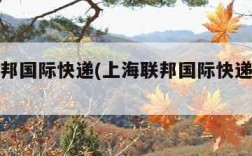 上海联邦国际快递(上海联邦国际快递公司地址)