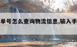 快递订单号怎么查询物流信息,输入手机号查订单