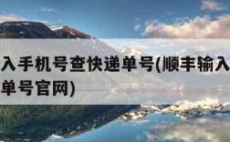 顺丰输入手机号查快递单号(顺丰输入手机号查快递单号官网)