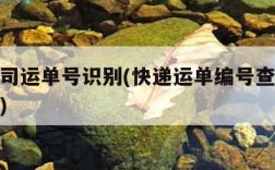 快递公司运单号识别(快递运单编号查询物流怎么查)