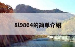 8l9864的简单介绍