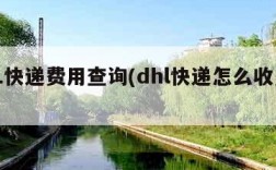 DHL快递费用查询(dhl快递怎么收费标准)