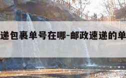 邮政快递包裹单号在哪-邮政速递的单号在什么位置