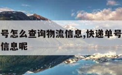 快递单号怎么查询物流信息,快递单号怎么查询物流信息呢