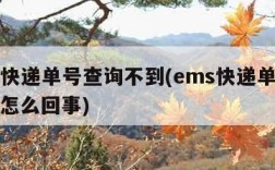 ems快递单号查询不到(ems快递单号查不到怎么回事)