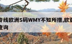 欧亚专线欧洲S码WMY不知所措,欧亚专线单号查询