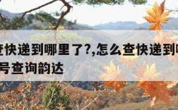 怎么查快递到哪里了?,怎么查快递到哪里了?手机号查询韵达