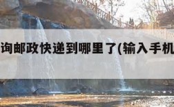 如何查询邮政快递到哪里了(输入手机号查订单)