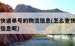 怎么查快递单号的物流信息(怎么查快递单号的物流信息呢)