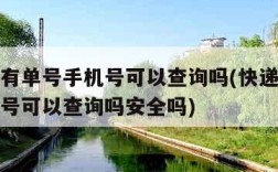 快递没有单号手机号可以查询吗(快递没有单号手机号可以查询吗安全吗)