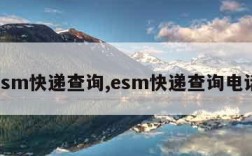 esm快递查询,esm快递查询电话