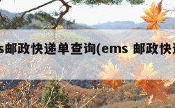 ems邮政快递单查询(ems 邮政快递查询)