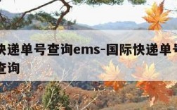 国际快递单号查询ems-国际快递单号查询自动查询