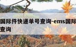 ems国际件快递单号查询-ems国际包裹单号查询