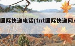 tnt国际快递电话(tnt国际快递网点查询)