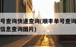 顺丰单号查询快递查询(顺丰单号查询快递查询跟踪信息查询图片)