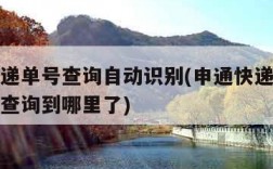 申通快递单号查询自动识别(申通快递单号查询自动查询到哪里了)