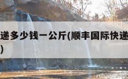 国际快递多少钱一公斤(顺丰国际快递多少钱一公斤)