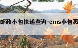 ems邮政小包快递查询-ems小包裹快递查询