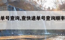 查快递单号查询,查快递单号查询顺丰快递单号查询