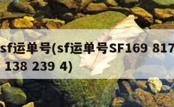 sf运单号(sf运单号SF169 817 138 239 4)