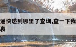 我的中通快递到哪里了查询,查一下我的中通快递包裹