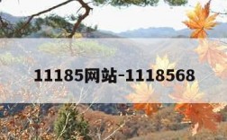 11185网站-1118568