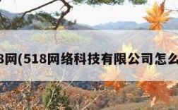 518网(518网络科技有限公司怎么样)