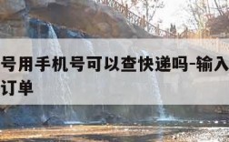 没有单号用手机号可以查快递吗-输入手机号找快递订单