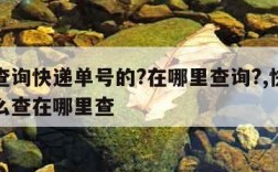 怎样查询快递单号的?在哪里查询?,快递单号怎么查在哪里查