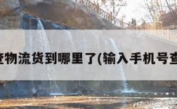 京东查物流货到哪里了(输入手机号查订单)