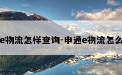 申通e物流怎样查询-申通e物流怎么查询