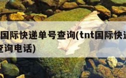 tnt国际快递单号查询(tnt国际快递单号查询电话)