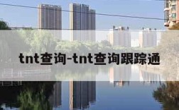 tnt查询-tnt查询跟踪通